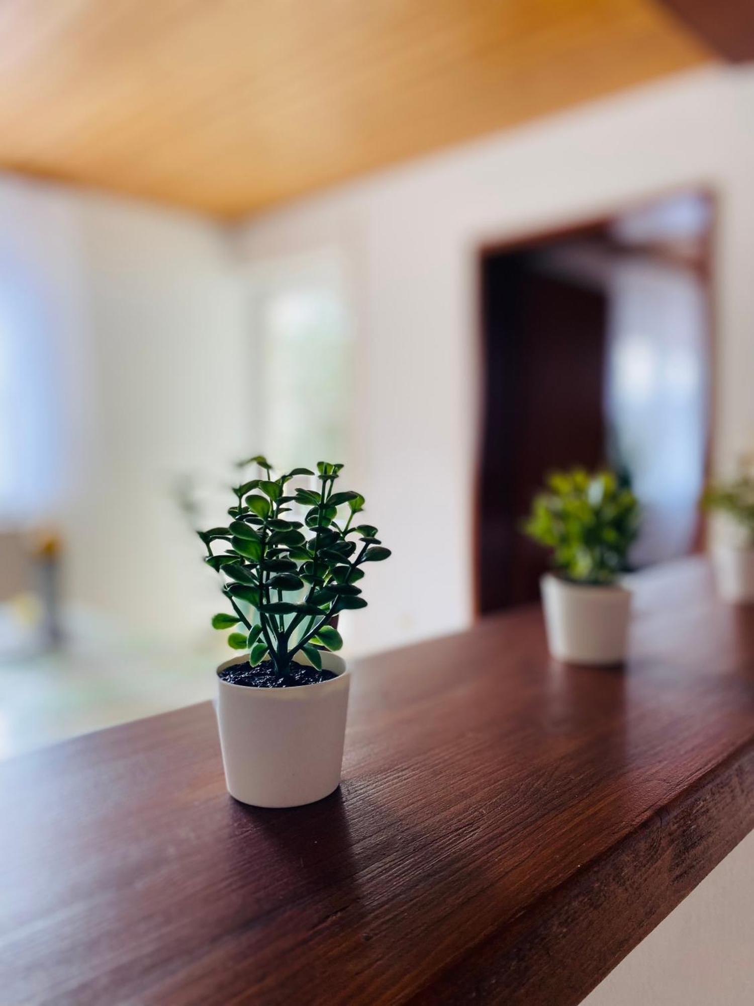 Rattelsdorf Ferienwohnung Antonia מראה חיצוני תמונה